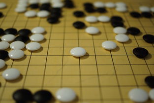 开云网页版登录入口-世界围棋赛青年选手战术成熟引热议，2020世界围棋